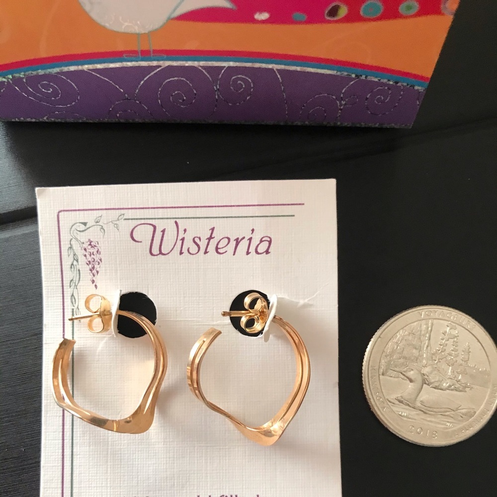 Wisteria 14 kt gold filled earrings
